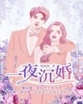 一夜沉婚
