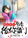 极品弃妇：王爷太傲娇