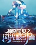 神奇宝贝：闪光吸引者