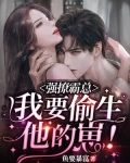 强撩霸总，我要偷生他的崽！