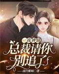 一夜钟情：总裁请你别追了