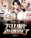 守孝三年，下山后老婆跑了