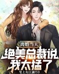 离婚当天，绝美总裁说我太猛了