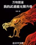 万物图鉴：我的武道能无限升级
