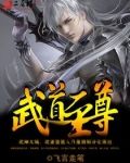 武道至尊